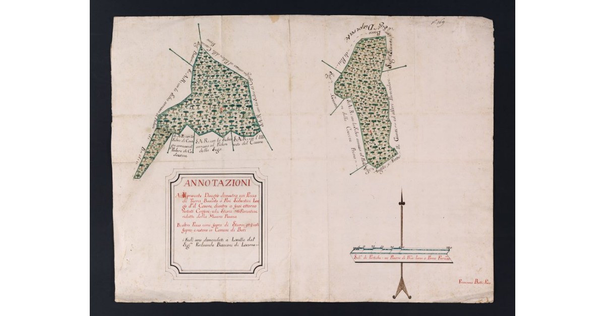 [Piante degli appezzamenti di terreno domandati a livello da sig. Francesco Bianconi di Livorno]