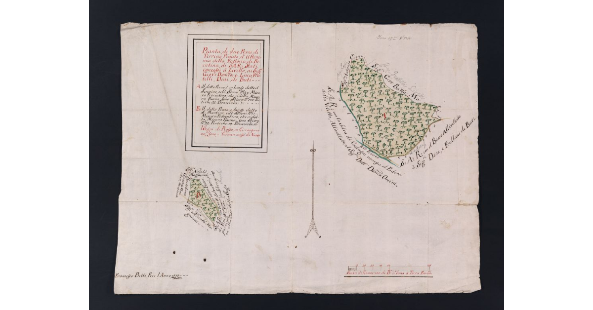 Pianta, di due Pezzi di Terreno Pinato, d'attenenza della Fattoria, di Bientina, di S.A.R. Stati concessi à Livello ai Sig. ri Giovan Domenico e Luca, Fratelli, Dini, di Buti