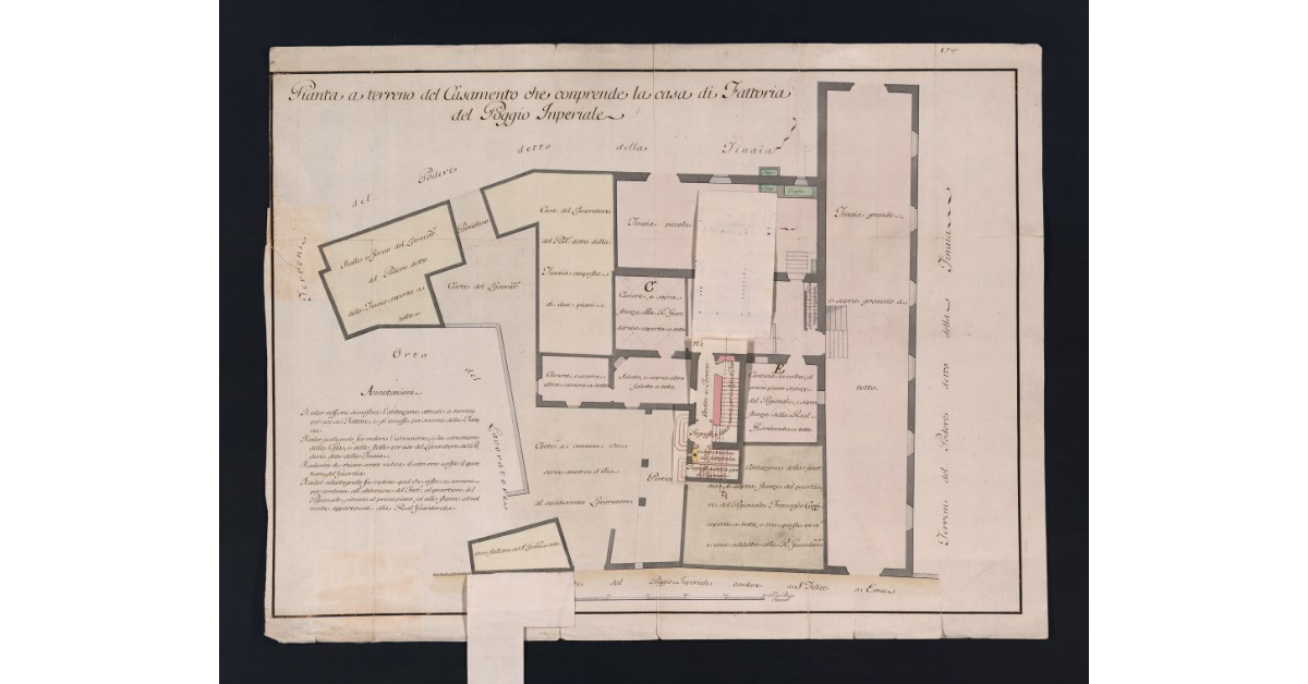 Pianta a Terreno del Casamento che comprende la casa di Fattoria del Poggio Imperiale