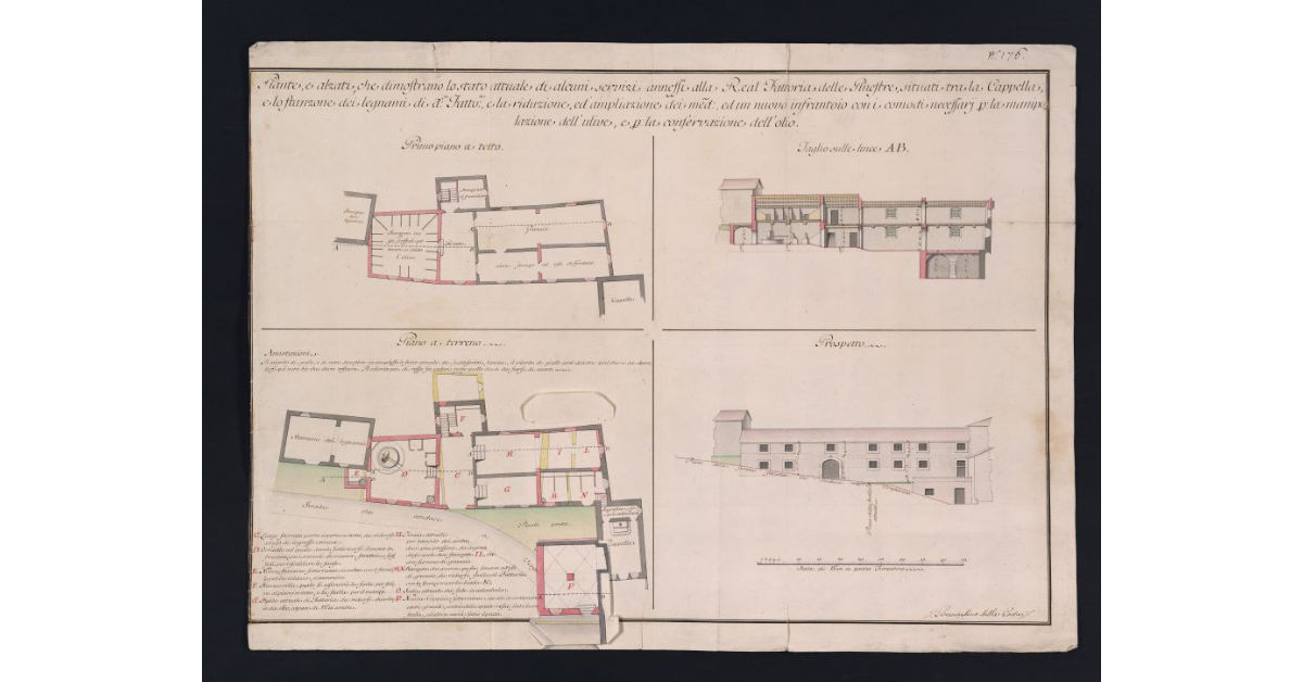 Piante, e alzati, che dimostrano lo stato attuale di alcuni servizi annessi alla Real Fattoria delle Ginestre, situati tra la Cappella, e lo stanzone dei legnami di detta Fattoria, e la riduzione, ed ampliazione dei medesimi, ed un nuovo infrantoio con i comodi necessari per la manipolazione dell'ulive e per la conservazione dell'olio