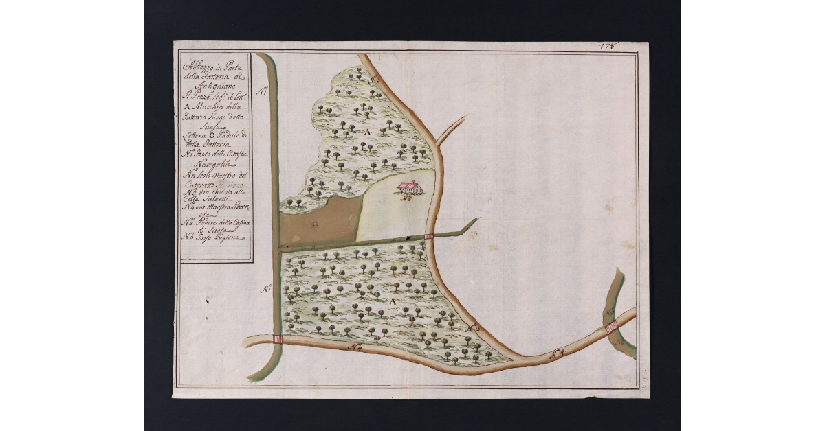 Abbozzo in parte della Fattoria di Antignano