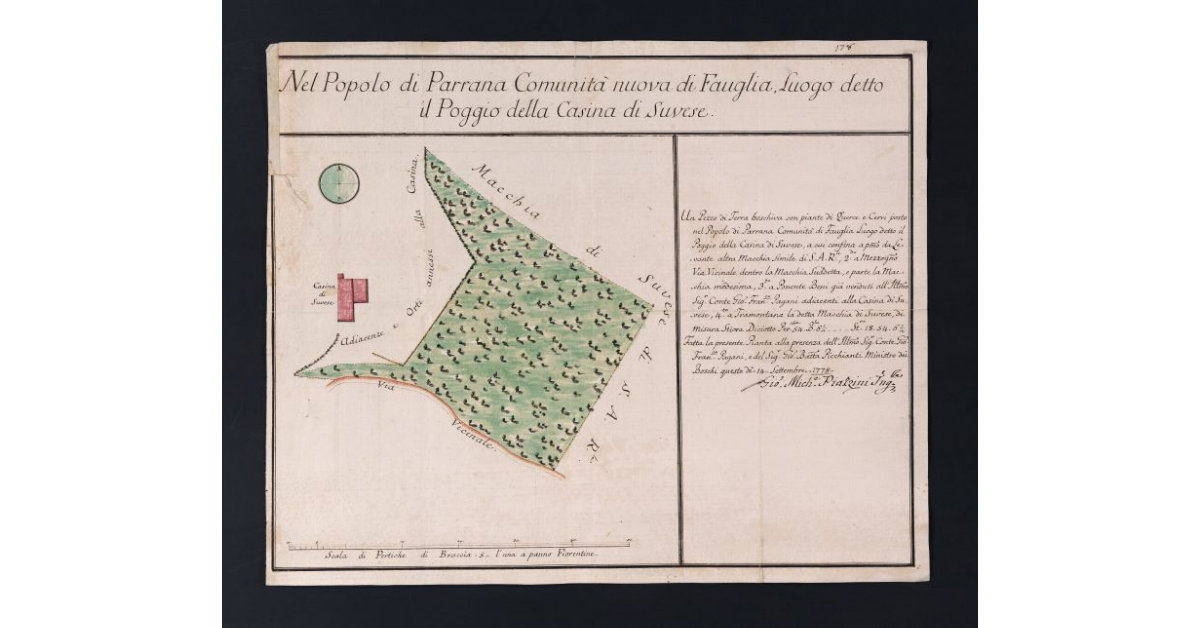 Nel Popolo di Parrana Comunità nuova di Fauglia, Luogo detto il Poggio della Casina di Suvese