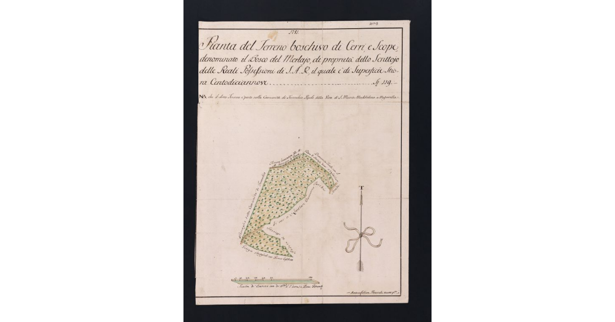 Pianta del Terreno boschivo di Cerri, e Scope, denominato il Bosco del Merlajo, di proprietà dello Scrittojo delle Reali Possessioni di S.A.R., il quale è di Superficie Stiora Centodiciannove