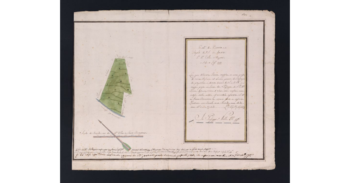 [Pianta di un appezzamento di terreno boschivo posto nella comunità di Cerreto]