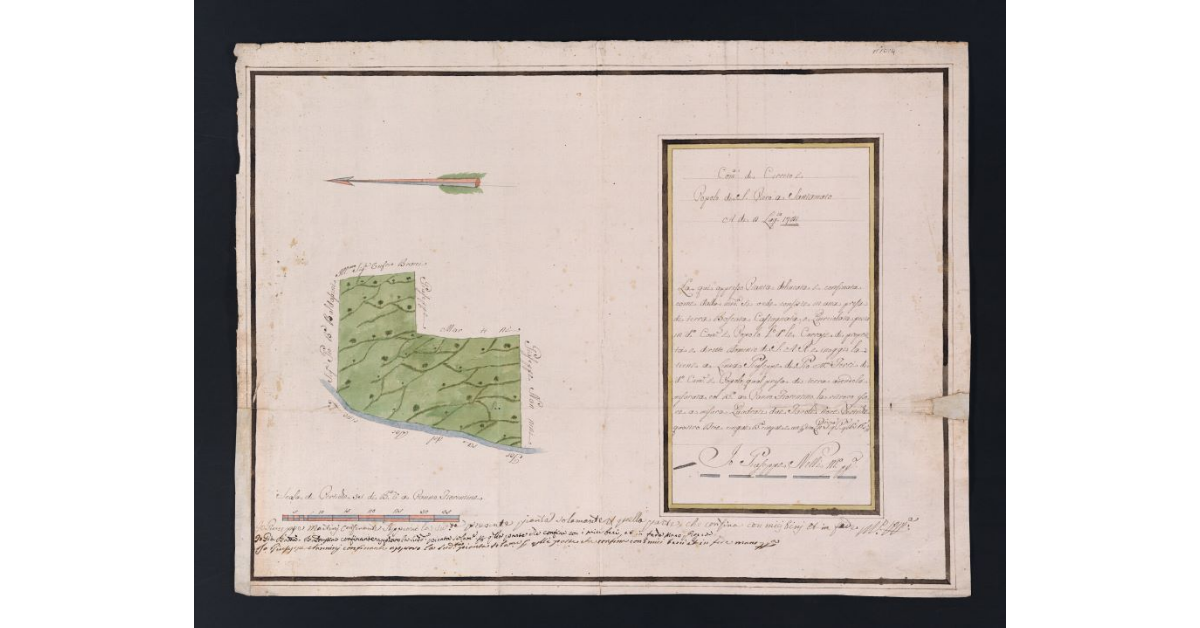 [Pianta di un appezzamento di terreno boschivo posto nella comunità di Cerreto]