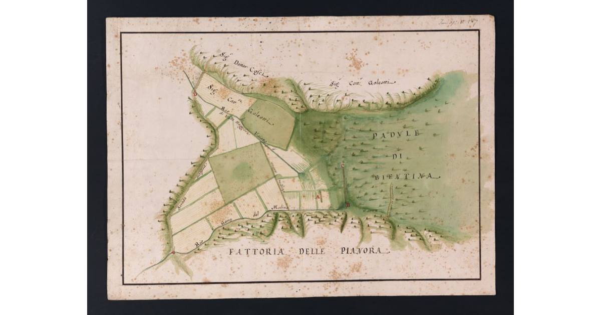 [Pianta di una parte del padule di Bientina e terreni adiacenti, con l'indicazione dei danni nella Pesca di Vaiano sulla gronda della fattoria delle Pianora]