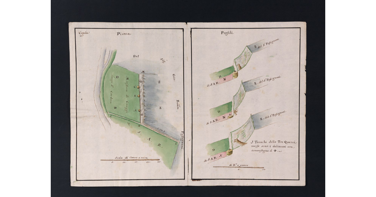 [Pianta e profili del campo di Cardetole di pertinenza della fattoria di Careggi]