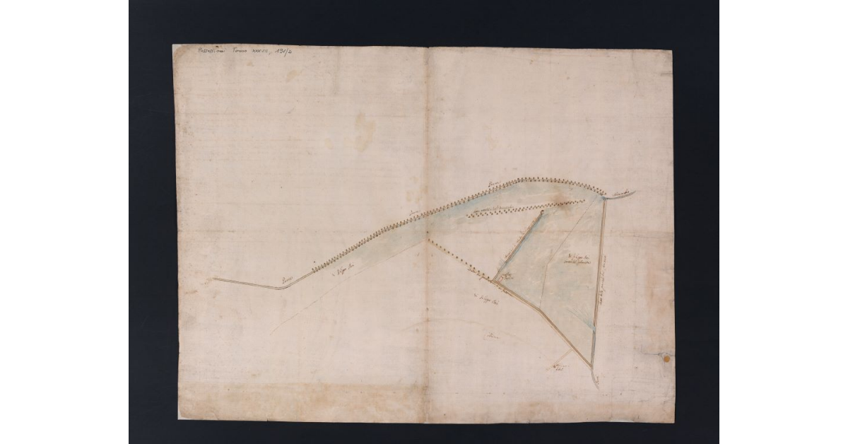 [Pianta della steccaia del mulino dei Paglieti sul fiume Parce]