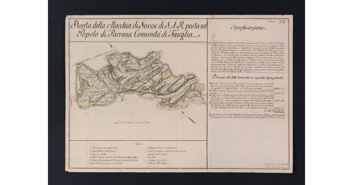 Pianta della Macchia di Suvese di S.A.R. posta nel Popolo di Parrana Comunità di Fauglia