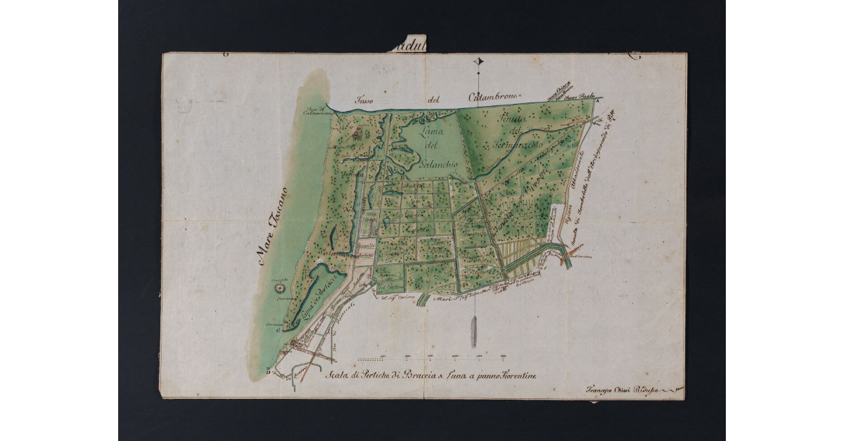[Pianta regolare della tenuta della Paduletta a ponente della città di Livorno]