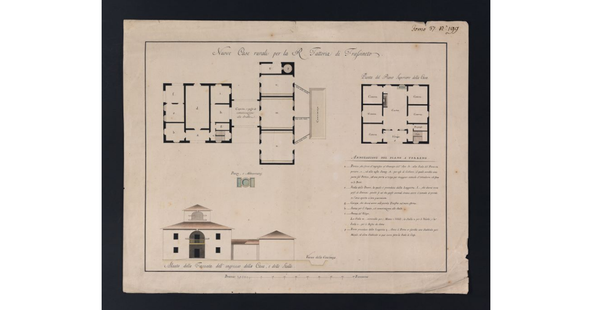 Nuove Case rurali per la R. Fattoria di Frassineto