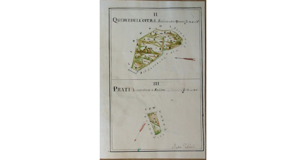 [Pianta di due appezzamenti denominat "Querci dell'Opera" e "Prato" spettanti all'opera di S. Michele e Silvestro di Travale]