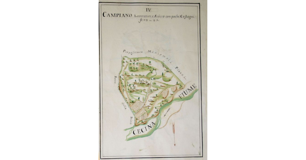 [Pianta di un appezzamento lavorativo e sodivo comprensivo anche di taluni castagni denominato "Campiano" spettante all'opera di S. Michele e Silvestro di Travale]