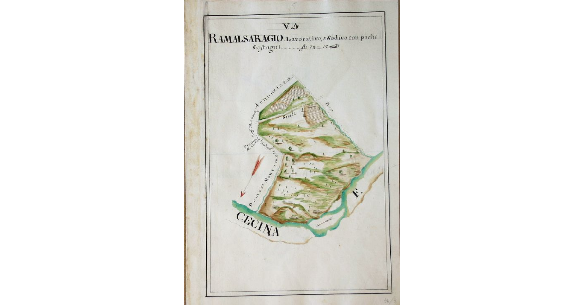 [Pianta di un appezzamento lavorativo e sodivo comprensivo anche di taluni castagni denominato "Ramalsaragio" spettante all'opera di S. Michele e Silvestro di Travale]