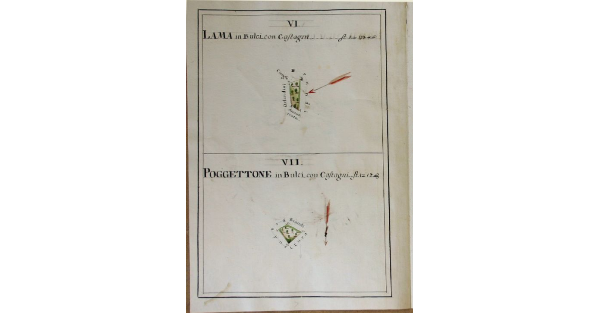 [Pianta di due appezzamenti denominati rispettivamente Lama in Bulci e "Poggettone in Bulci" spettanti all'opera di S. Michele e Silvestro di Travale]