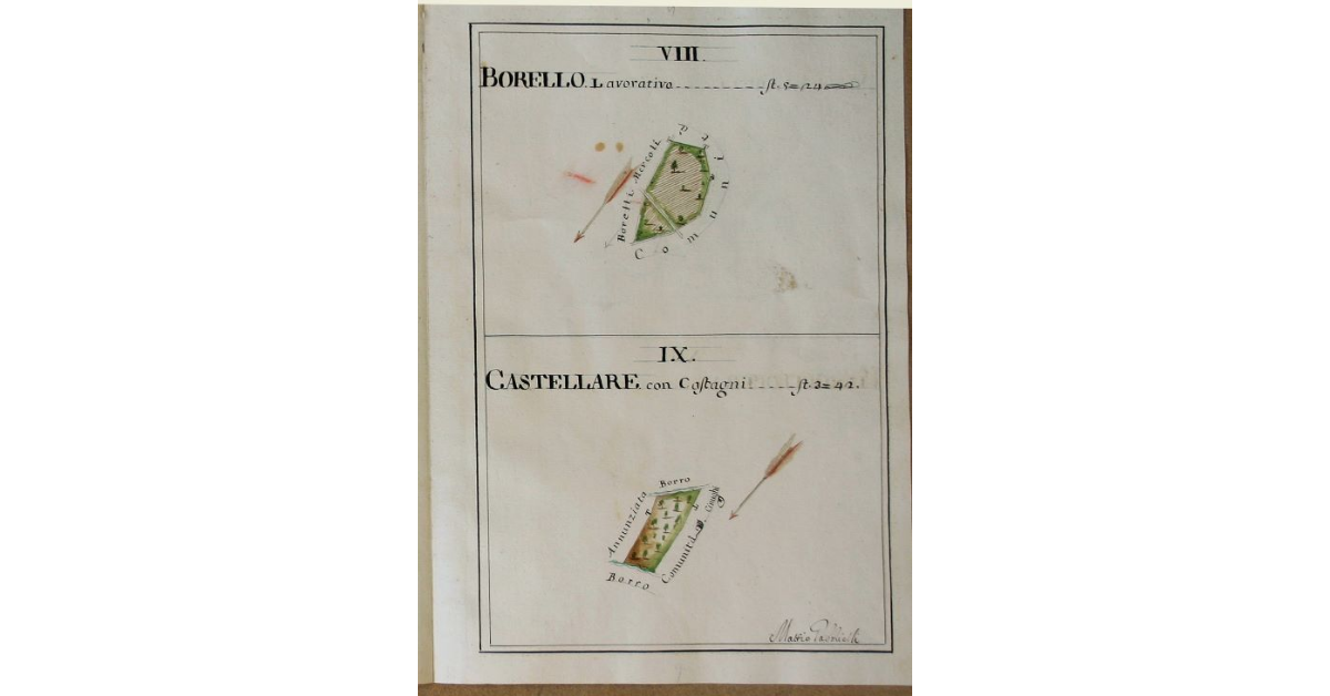 [Pianta di due appezzamenti di cui uno lavorativo e l'altro comprensivo anche di taluni castagni denominati rispettivamente "Borello" e "Castellare" spettanti all'opera di S. Michele e Silvestro di Travale]