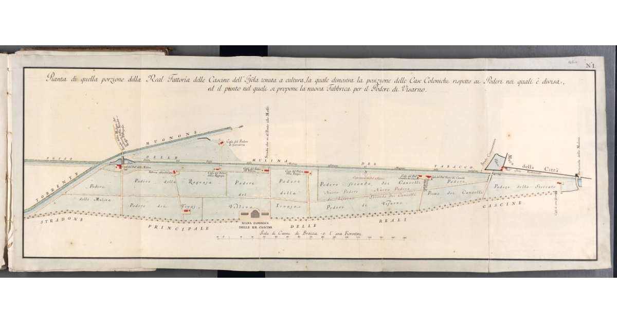 Pianta di quella porzione della Real Fattoria delle Cascine dell'Isola tenuta a cultura, la quale dimostra la posizione delle Case Coloniche rispetto ai Poderi nei quali è divisa, ed il punto nel quale si propone la nuova Fabbrica per il Podere di Visarno