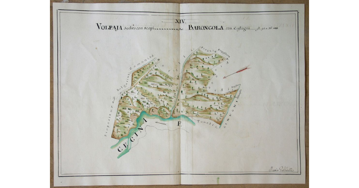 [Pianta di due appezzamenti contigui di cui il primo, sodivo con scopi denominato "Volpaja" e l'altro comprensivo di castagni denominato "Baroncola" spettanti all'opera di S. Michele e Silvestro di Travale]