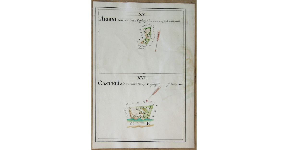 [Pianta di due appezzamenti lavorativi con castagni denominati rispettivamente "Argini" e "Castello" spettanti all'opera di S. Michele e Silvestro di Travale]