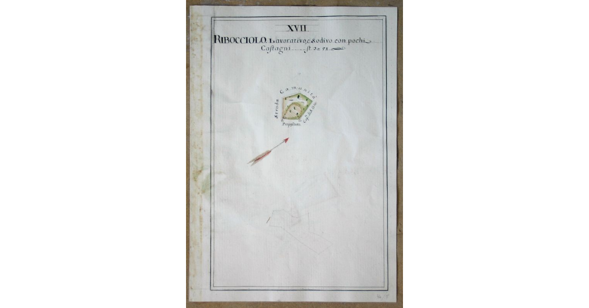 [Pianta di un appezzamento lavorativo e sodivo con alcuni castagni denominato "Ribocciolo" spettante all'opera di S. Michele e Silvestro di Travale]