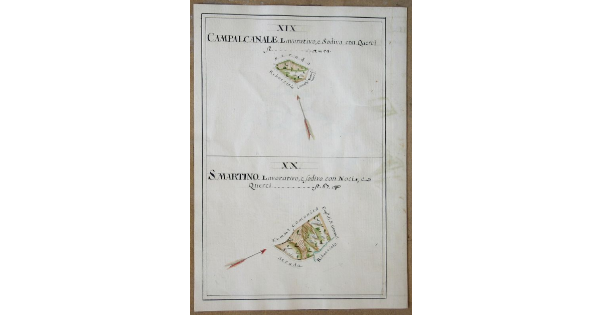 [Pianta di due appezzamenti denominati rispettivamente "Campalcanale" e "San Martino" spettanti all'opera di S. Michele e Silvestro di Travale]