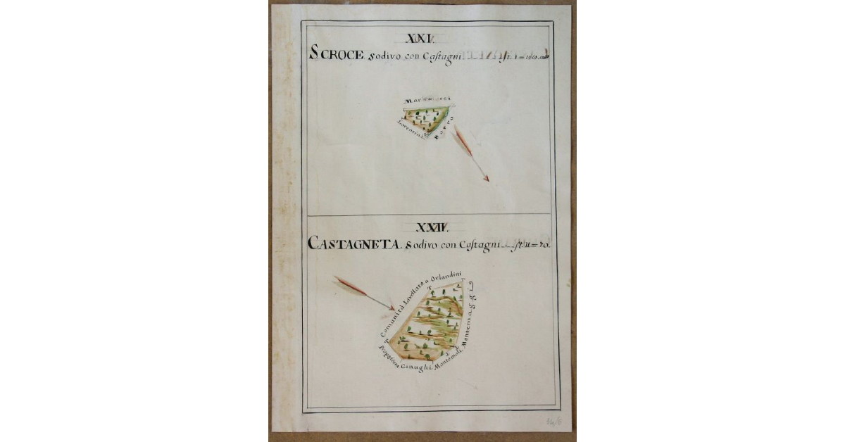 [Pianta di due appezzamenti sodivi con castagni denominati rispettivamente "Santa Croce" e "Castagneta" spettanti all'opera di S. Michele e Silvestro di Travale]