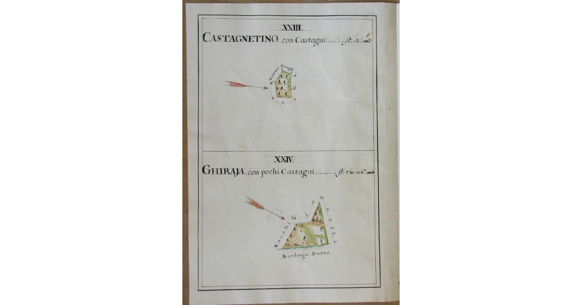 [Pianta di due appezzamenti con castagni denominati rispettivamente "Castagnetino" e "Ghiraia" spettanti all'opera di S. Michele e Silvestro di Travale]