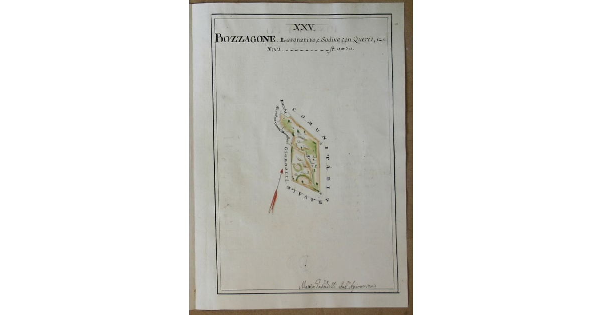 [Pianta di un appezzamento lavorativo e sodivo con querci e noci denominato "Bozzagone" spettanti all'opera di S. Michele e Silvestro di Travale]