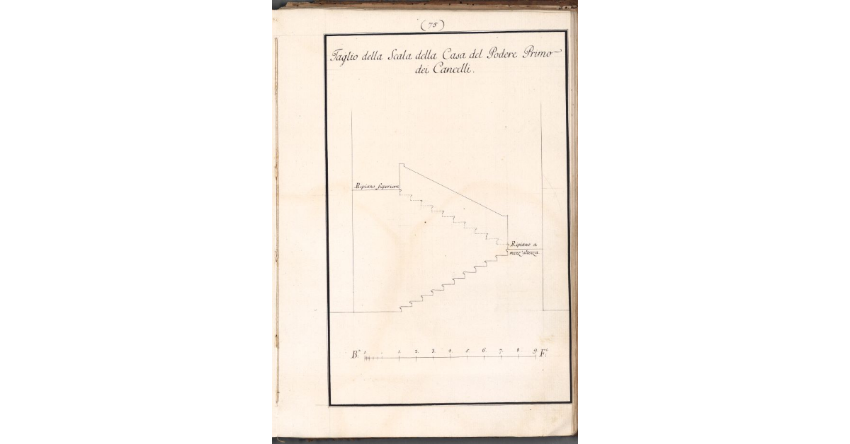 Taglio della Scala della Casa del Podere Primo dei Cancelli