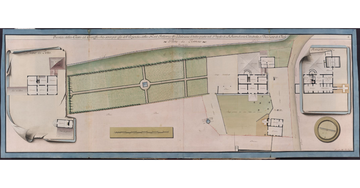 Pianta della Casa ed Annessi che sono per uso dell'Azienda della Real Fattoria di Dolciano, il tutto posto nel Popolo di S. Secondiano, Cattedrale, e Vicariato di Chiusi