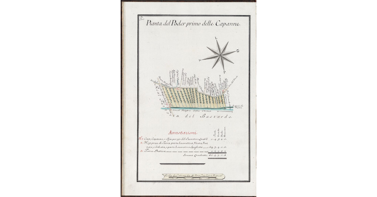 Pianta del Poder primo delle Capanne