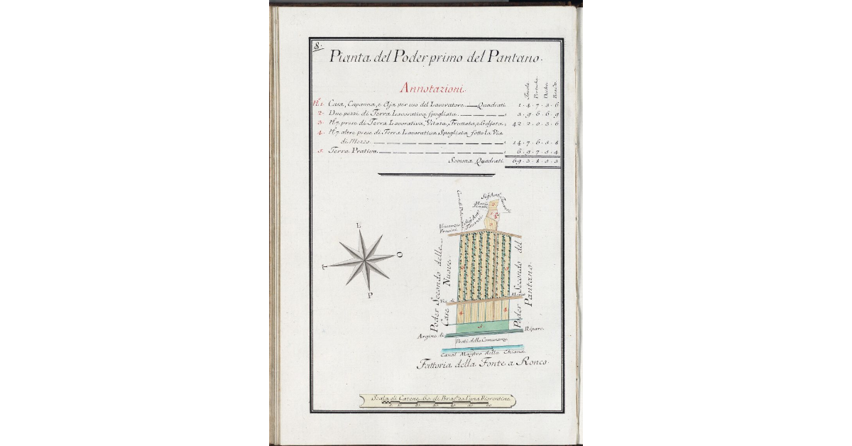 Pianta del Poder primo del Pantano