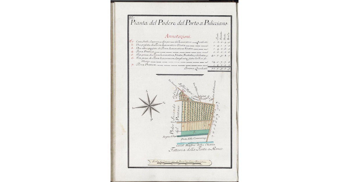 Pianta del Podere del Porto a Pulicciano