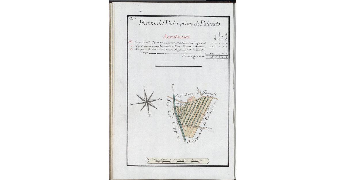 Pianta del Poder primo di Palazzolo
