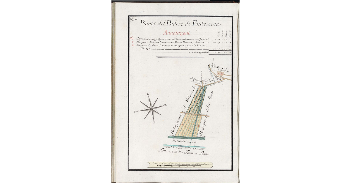 Pianta del podere di Fontesecca