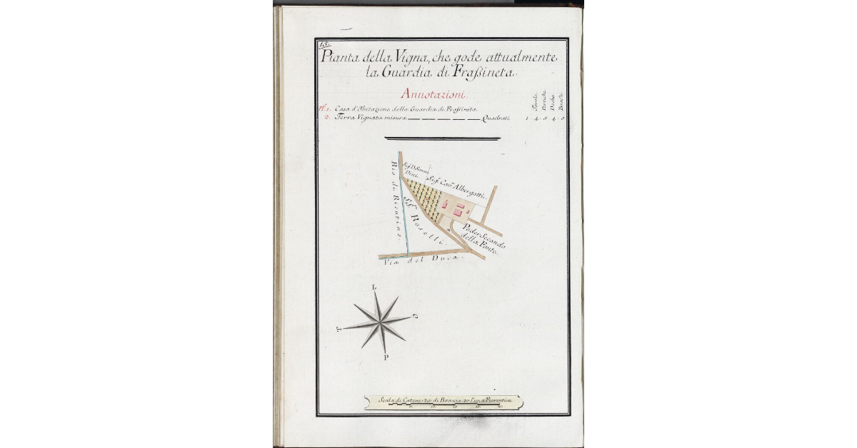 Pianta della Vigna, che gode attualmente la Guardia di Frassineta