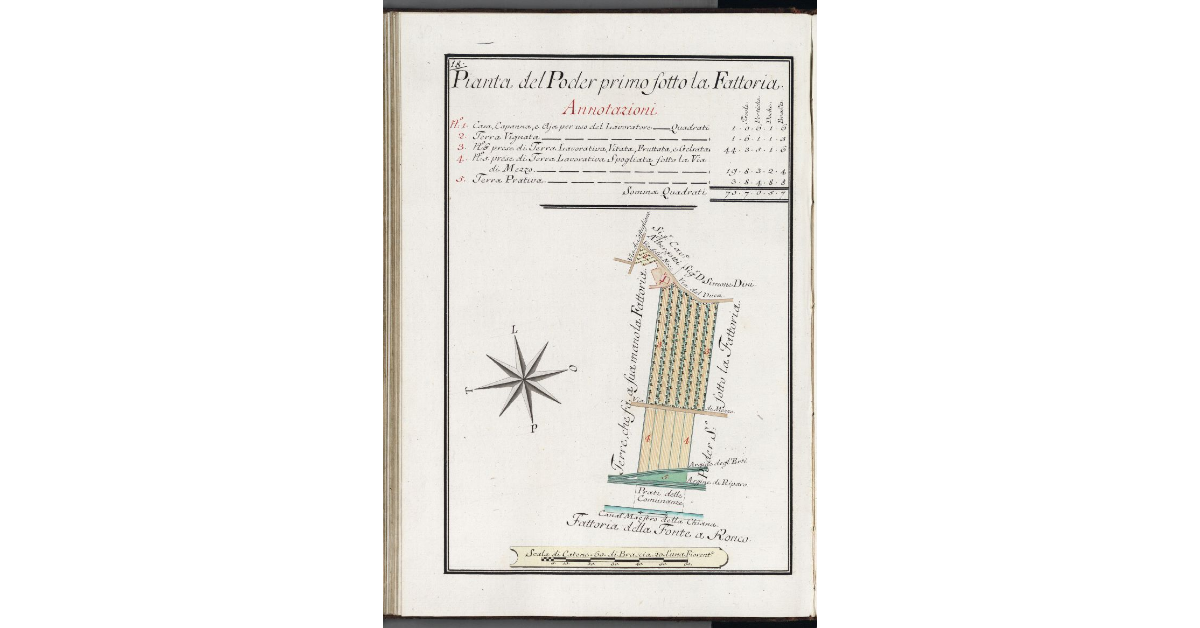 Pianta del Poder Primo sotto la Fattoria