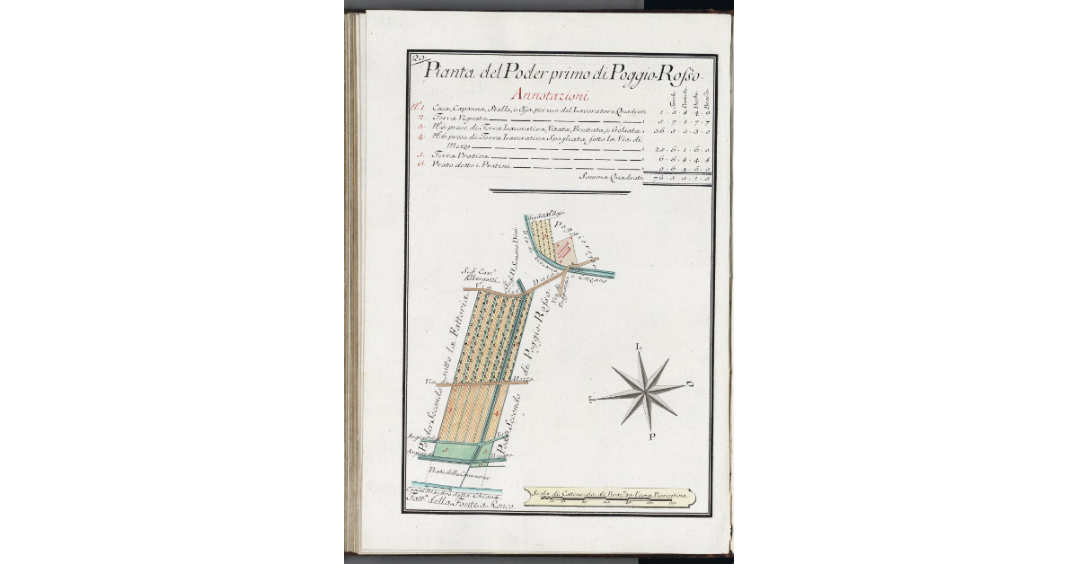 Pianta del Poder primo di Poggio Rosso